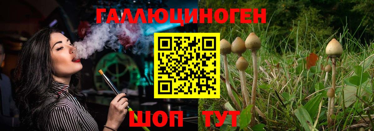 Псилоцибиновые грибы мухоморы  Вход с VPN  Пыть-Ях  Псилоцибиновые грибы Psilocybine cubensis 
